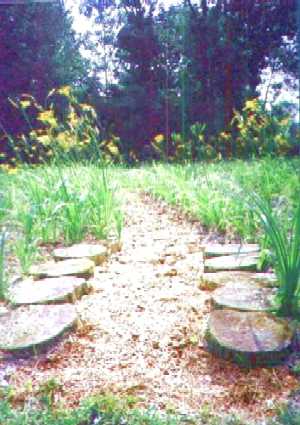 photo (c) Paxworks - St Lukes outdoor labyrinth