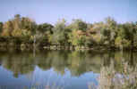 the rivers of life which flows on and on in peacful solitude, the  Eel River in Northern Indiana (c) Paxworks