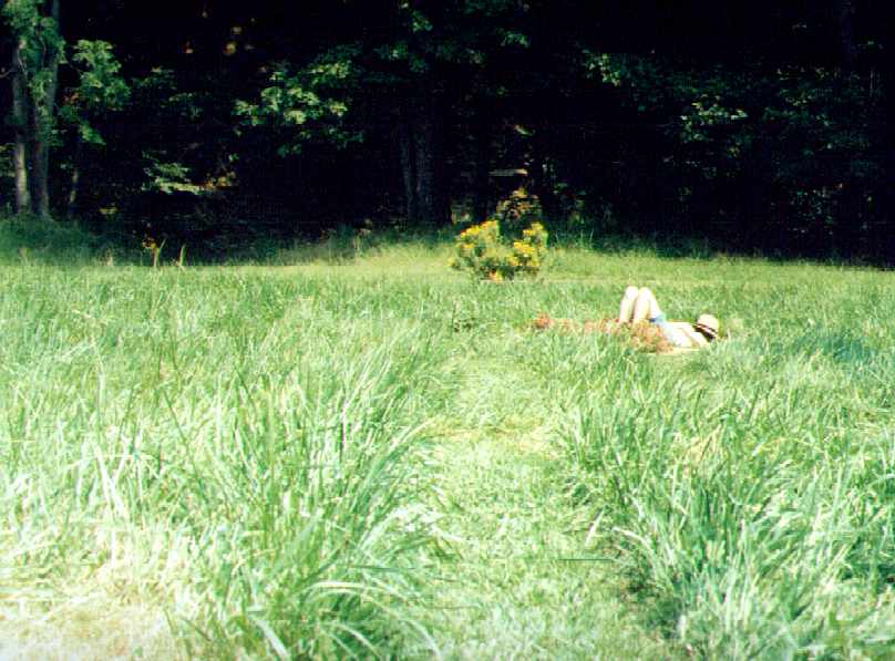 the Waycross labyrinth offers peace and rest..